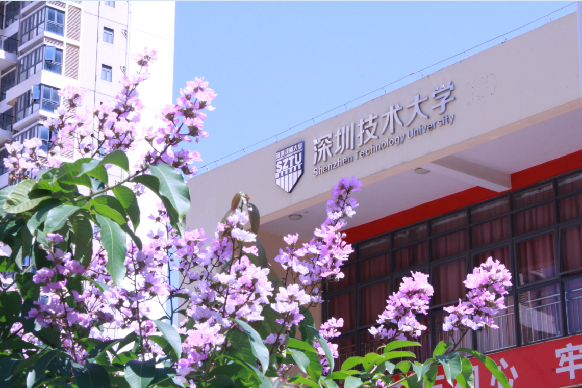 2019花季传媒官网网站團體標準啟動儀式